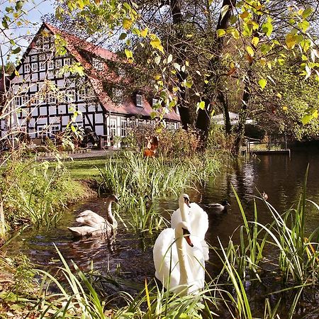 Springbach-Muehle Belzig Hotell Eksteriør bilde